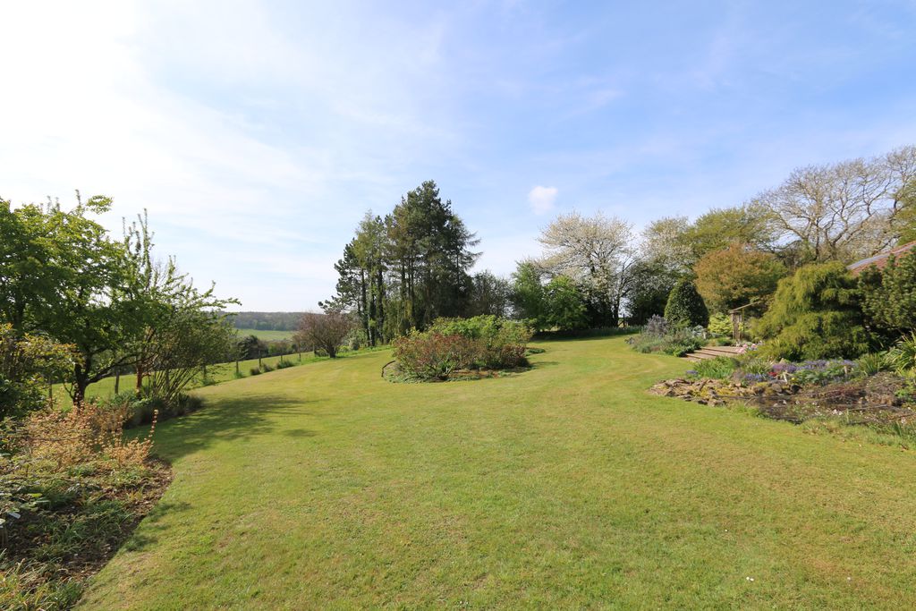 Hornbeams gallery - Gallery