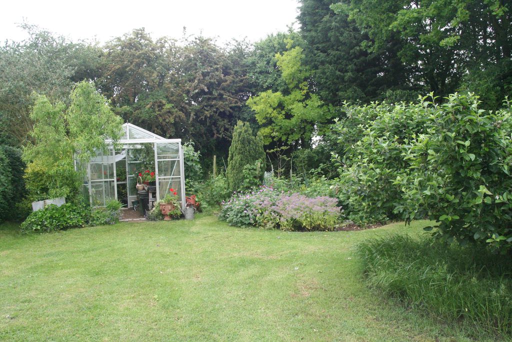 Hornbeams gallery - Gallery