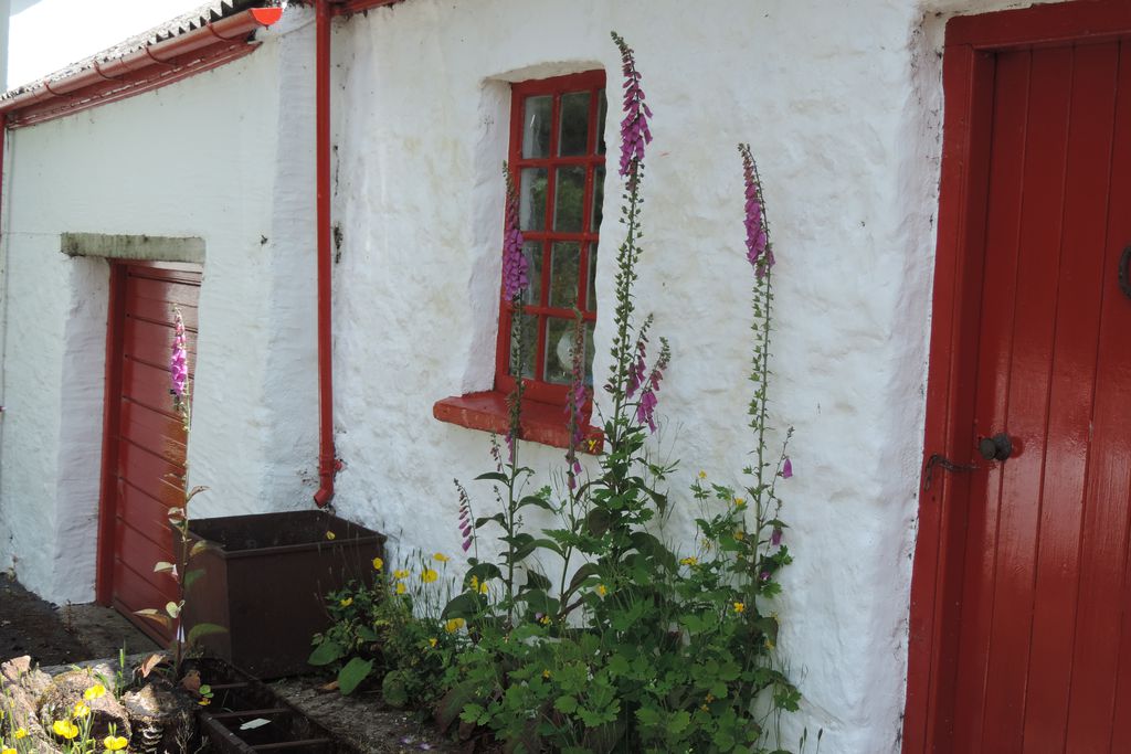 Pembrokeshire Farm B&B gallery - Gallery