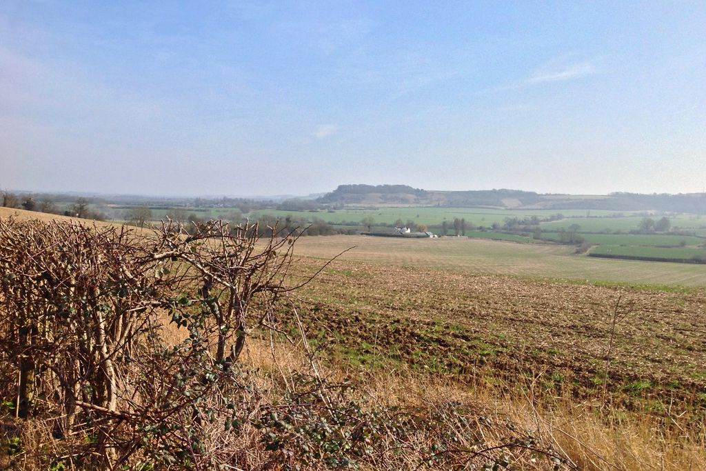 Harlington Manor gallery - Gallery
