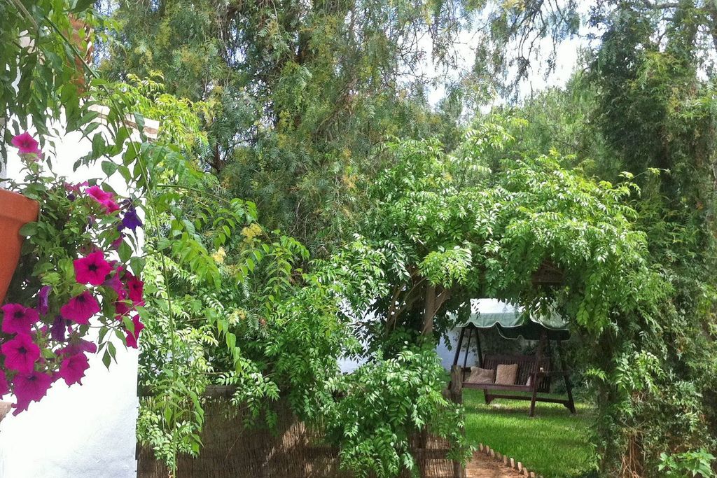 Finca El Sueño gallery - Gallery