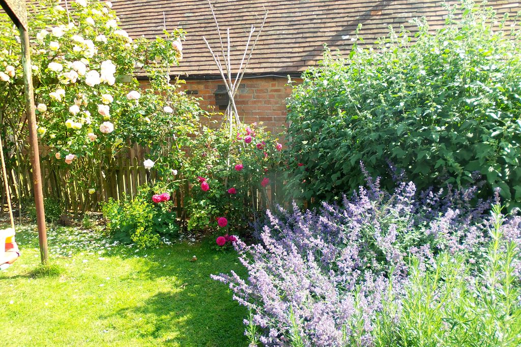 Grove Farm gallery - Gallery