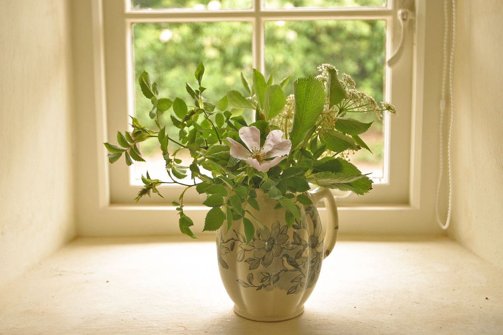 Asphodel Cottage gallery - Gallery