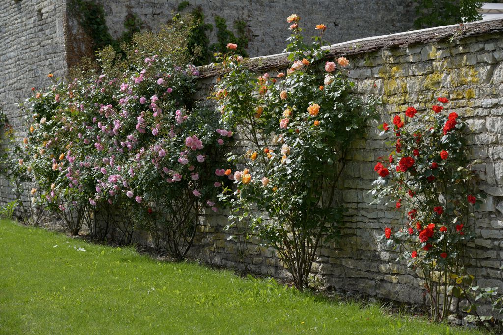 Le Petit Village gallery - Gallery