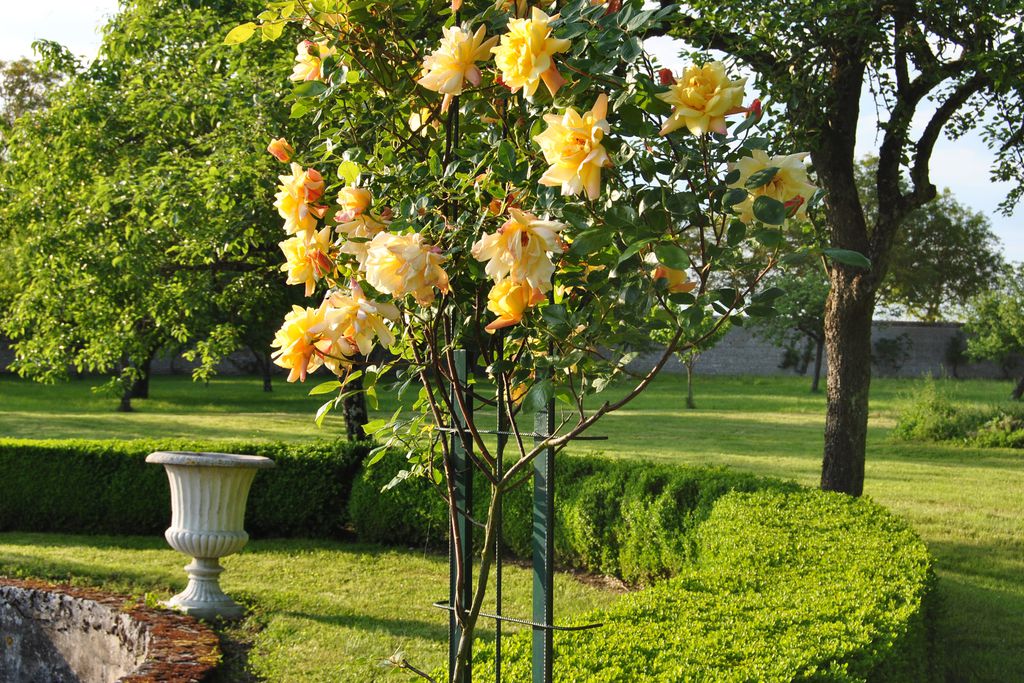 Château La Touanne gallery - Gallery