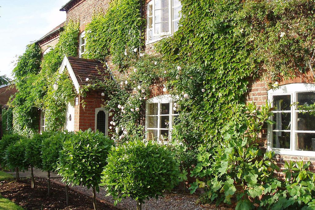 Ivydene House gallery - Gallery