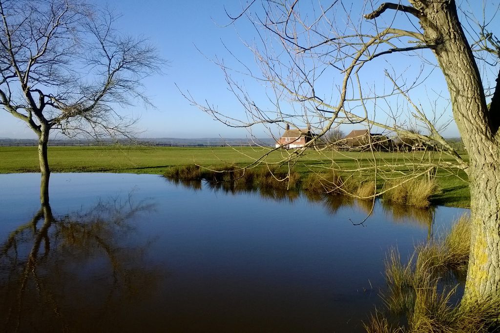 Coldharbour Cottage gallery - Gallery