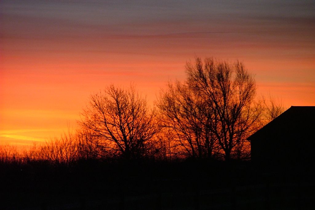 Coldharbour Cottage gallery - Gallery