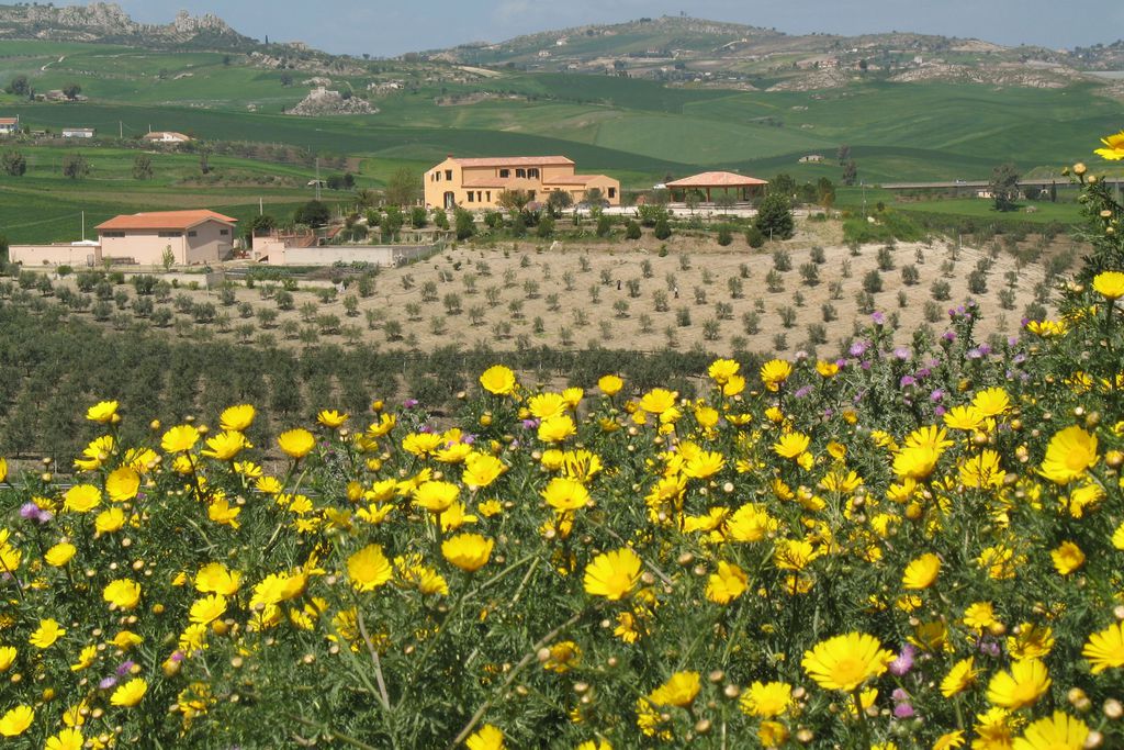Agriturismo Sillitti gallery - Gallery