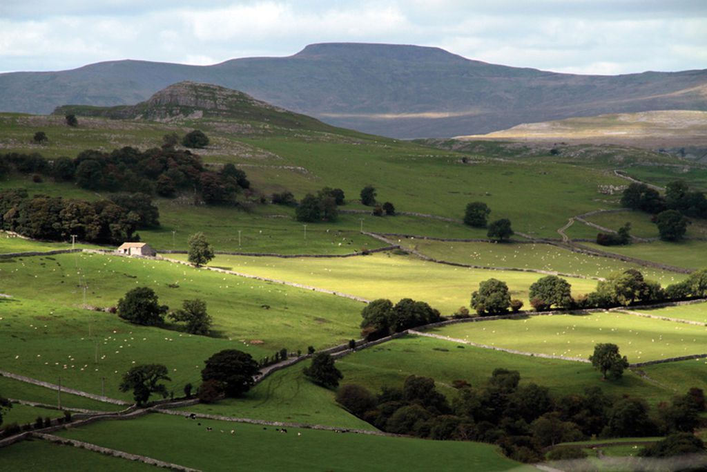The Lion at Settle gallery - Gallery