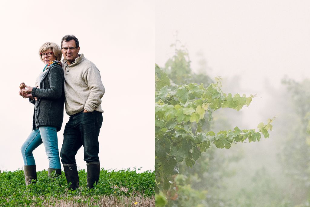 Le Clos de Fontenay gallery - Gallery