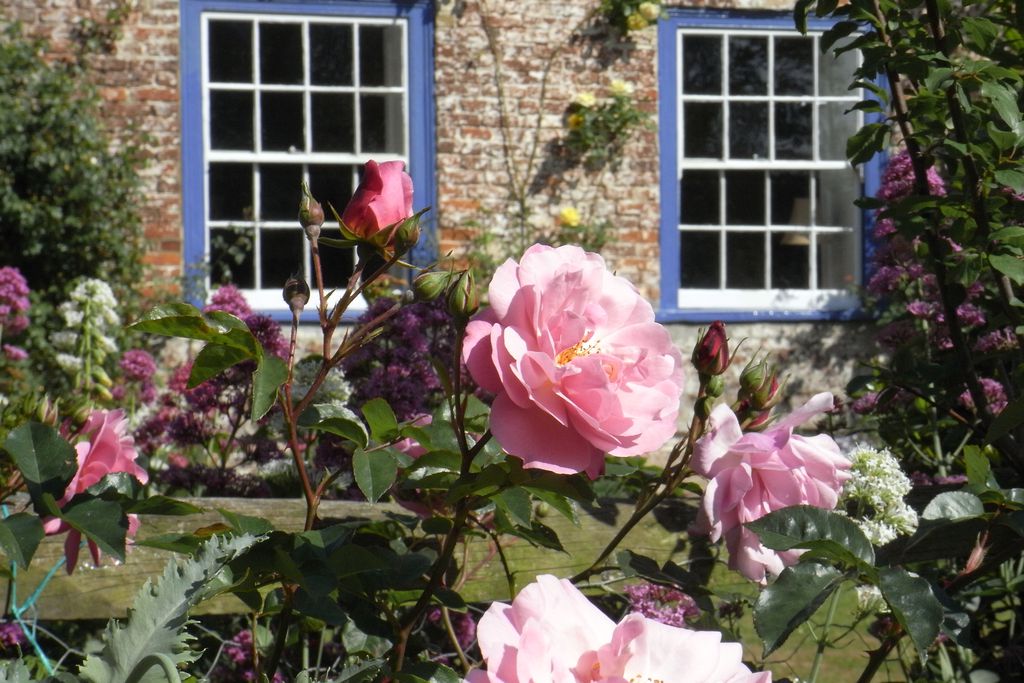 Great Selson Manor gallery - Gallery