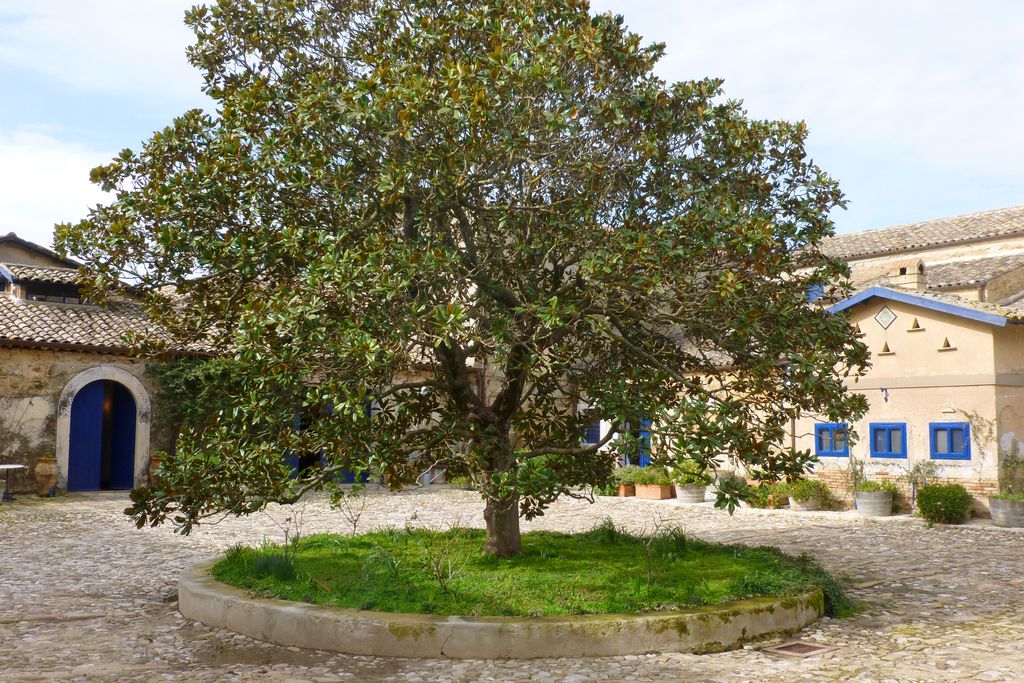 Regaleali Winery Estate gallery - Gallery