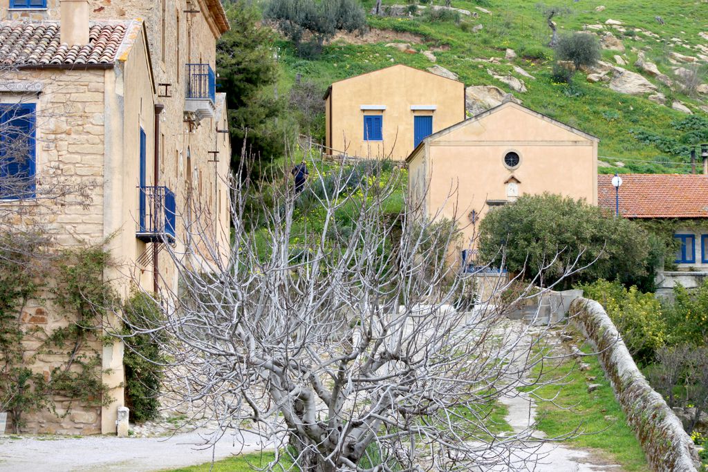 Regaleali Winery Estate gallery - Gallery
