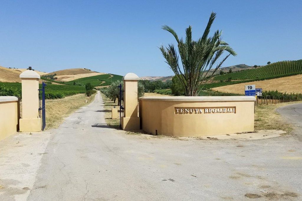 Regaleali Winery Estate gallery - Gallery
