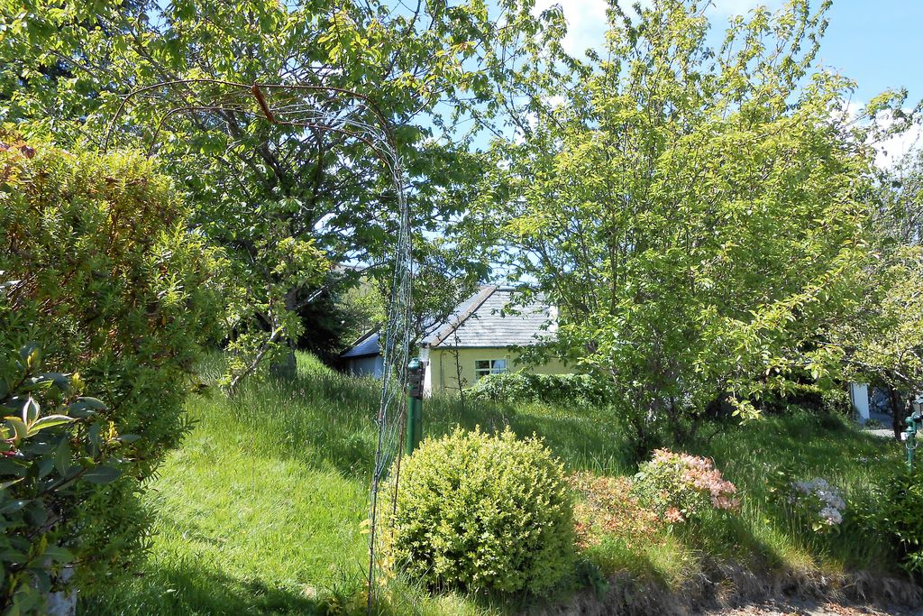 The Cottage gallery - Gallery