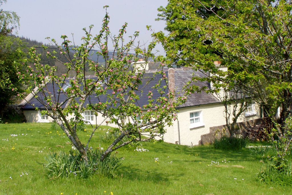 The Cottage gallery - Gallery