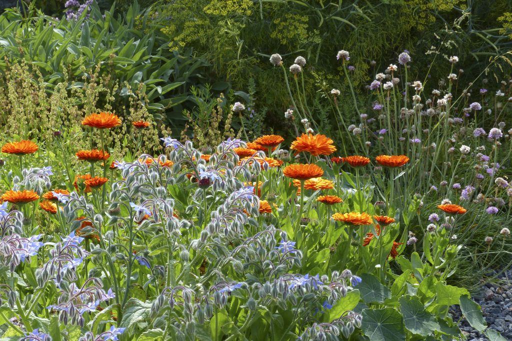 Croft Garden Cottage gallery - Gallery