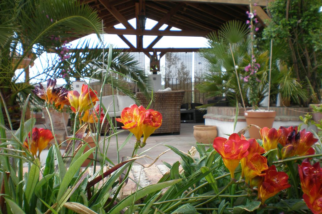 Cortijo La Haza gallery - Gallery
