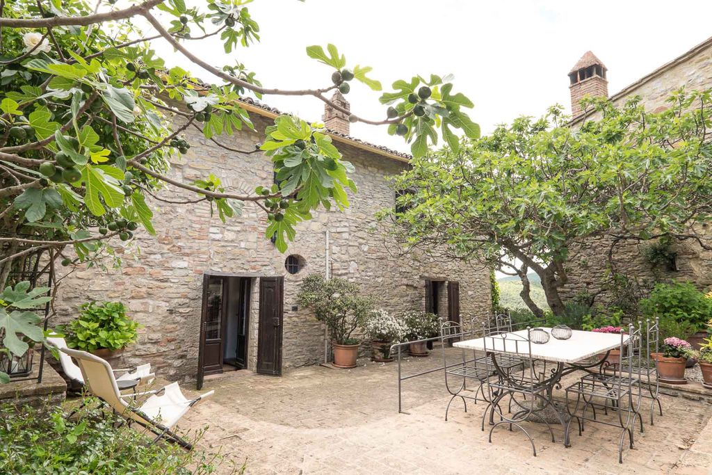 Prato di Sotto gallery - Gallery
