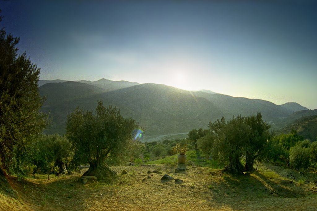 Casa Migliaca gallery - Gallery