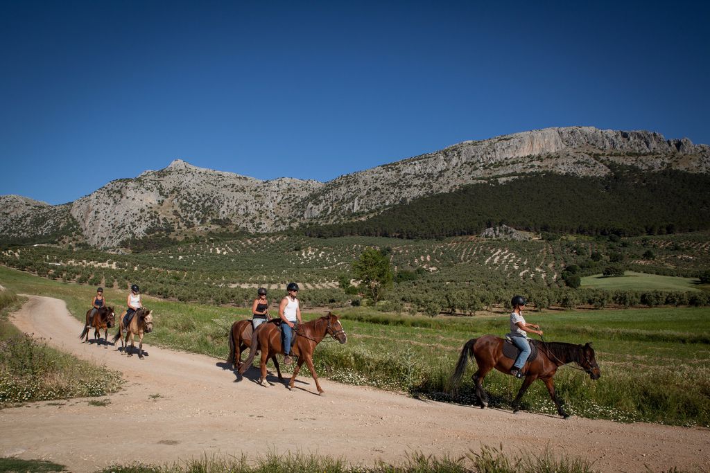 Cortijo los Lobos gallery - Gallery