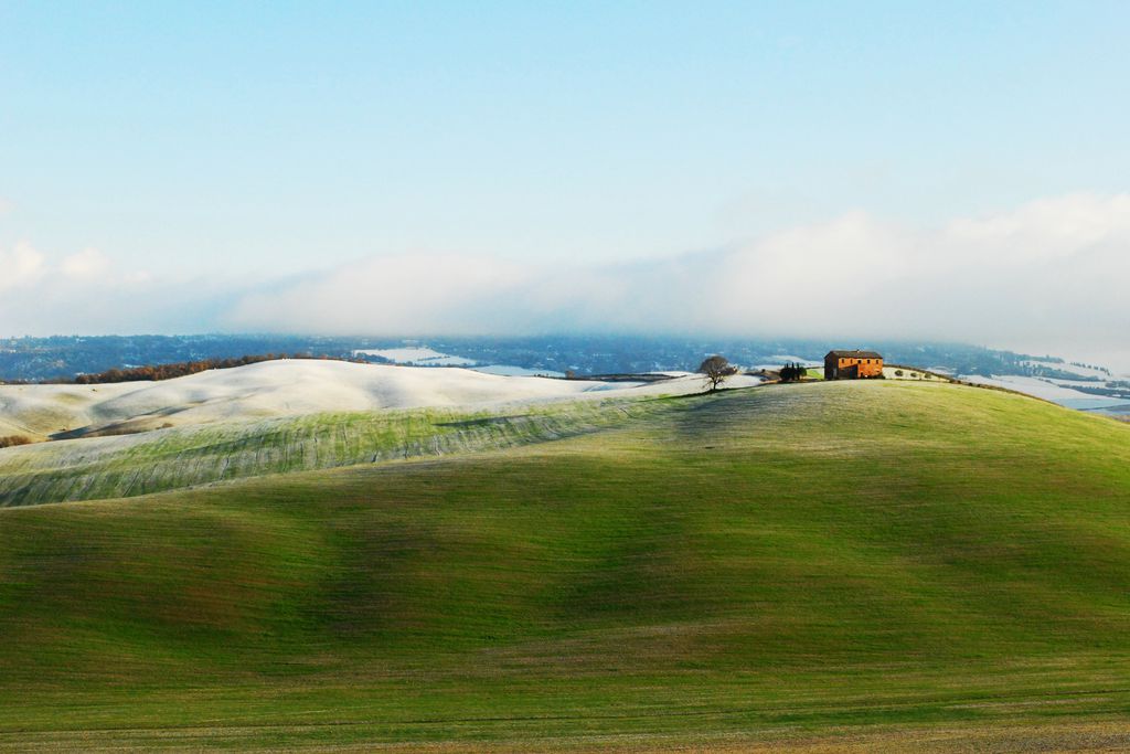 Il Rigo gallery - Gallery