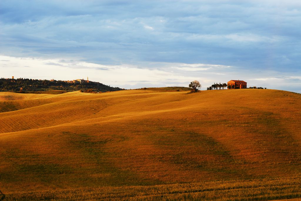 Il Rigo gallery - Gallery