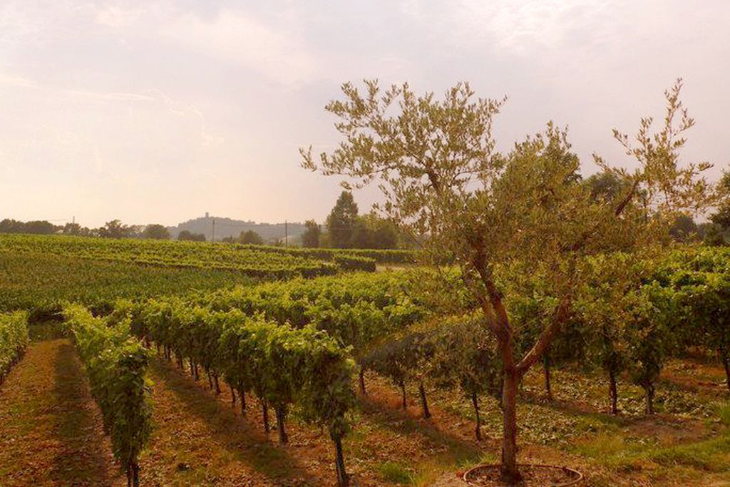 Villa San Pietro Bed & Breakfast gallery - Gallery