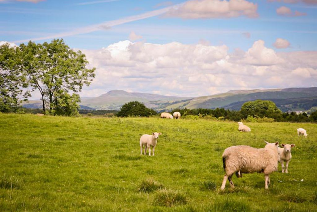 Gamekeepers Cottage & Cross Cottage gallery - Gallery