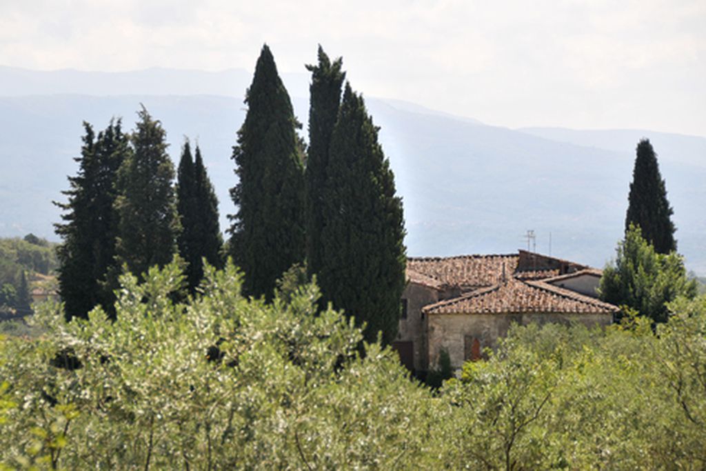 Podere La Casellina Agriturismo gallery - Gallery