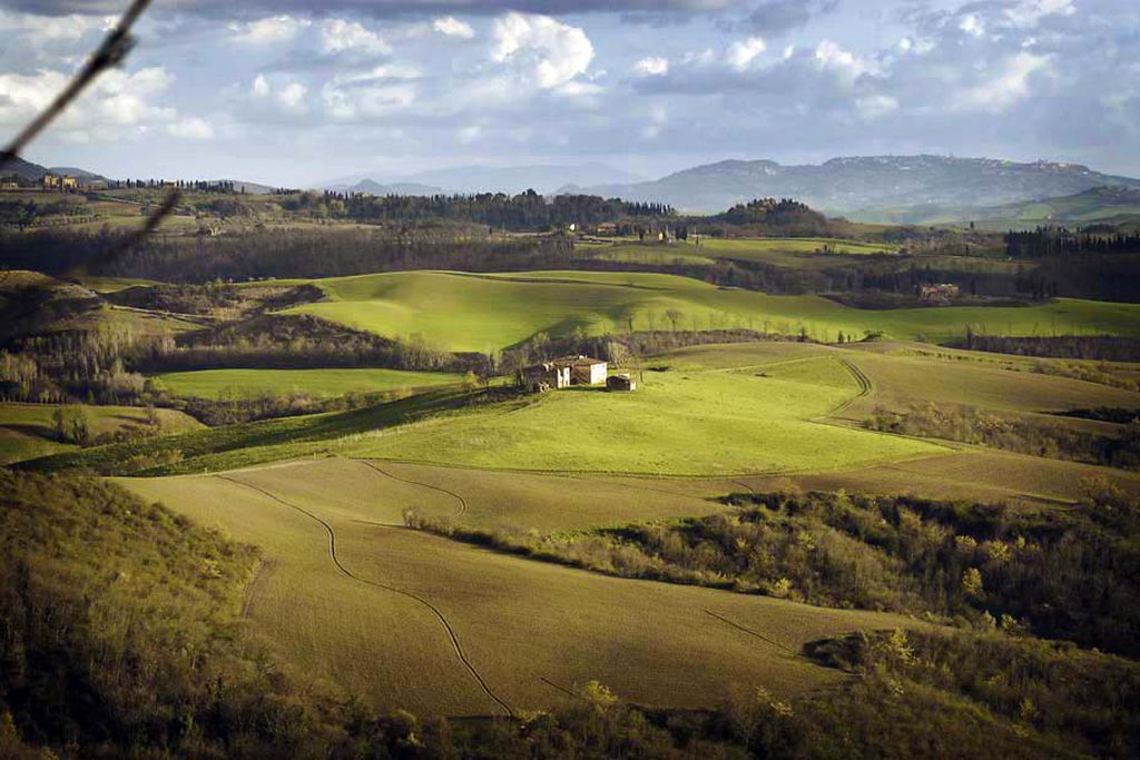 Fattoria Barbialla Nuova gallery - Gallery