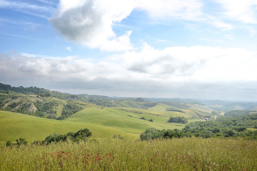 Fattoria Barbialla Nuova gallery - Gallery