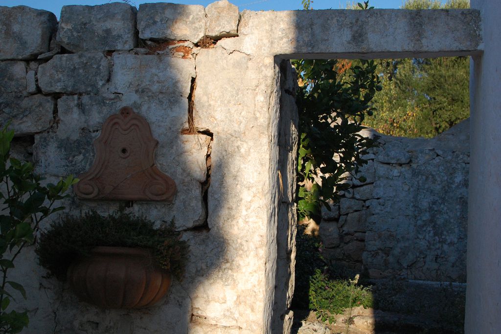 La Vigna gallery - Gallery