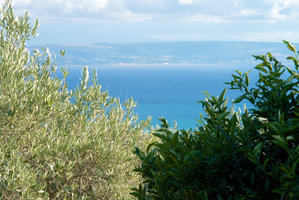 Agriturismo Livadia gallery - Gallery