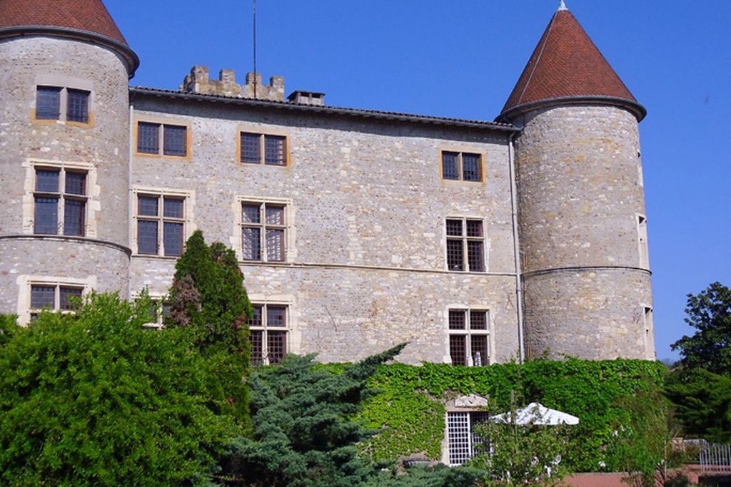 Château de Tanay gallery - Gallery