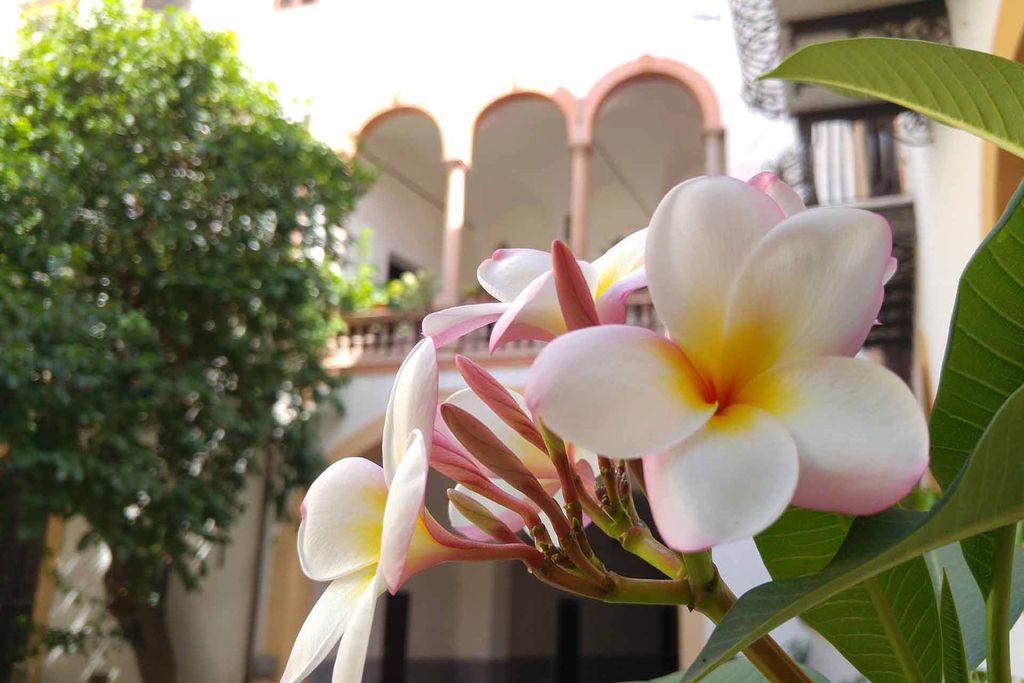 Palazzo Lungarini gallery - Gallery
