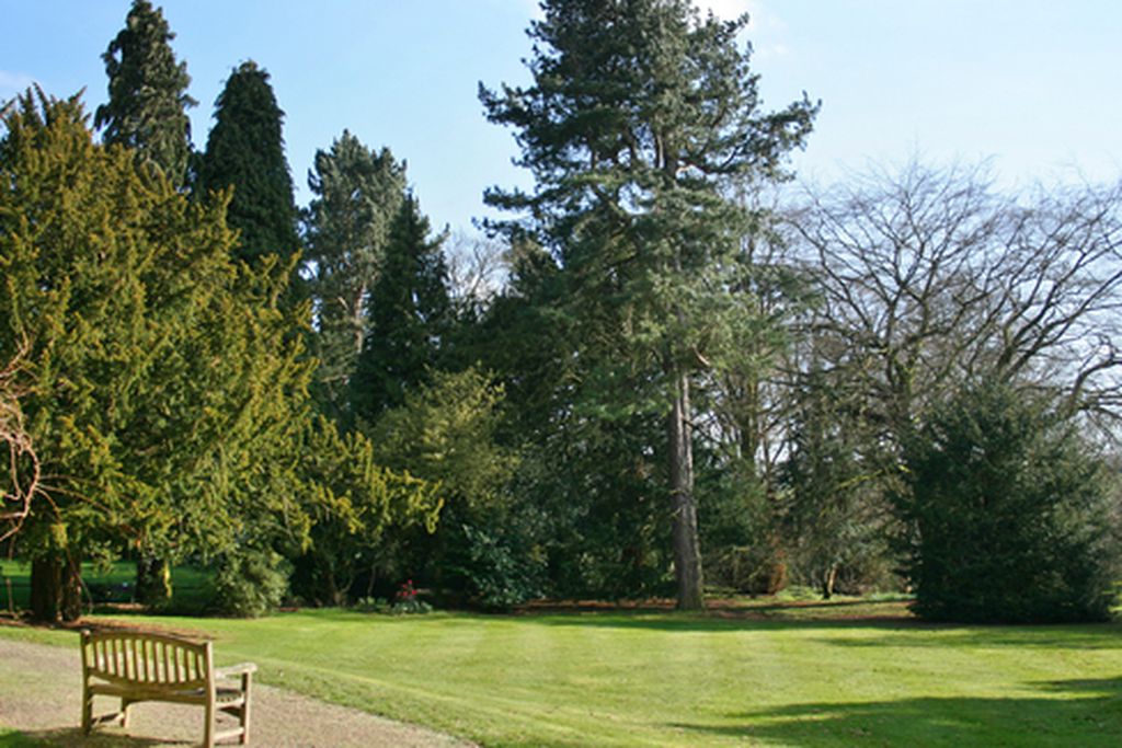 The Cottage gallery - Gallery