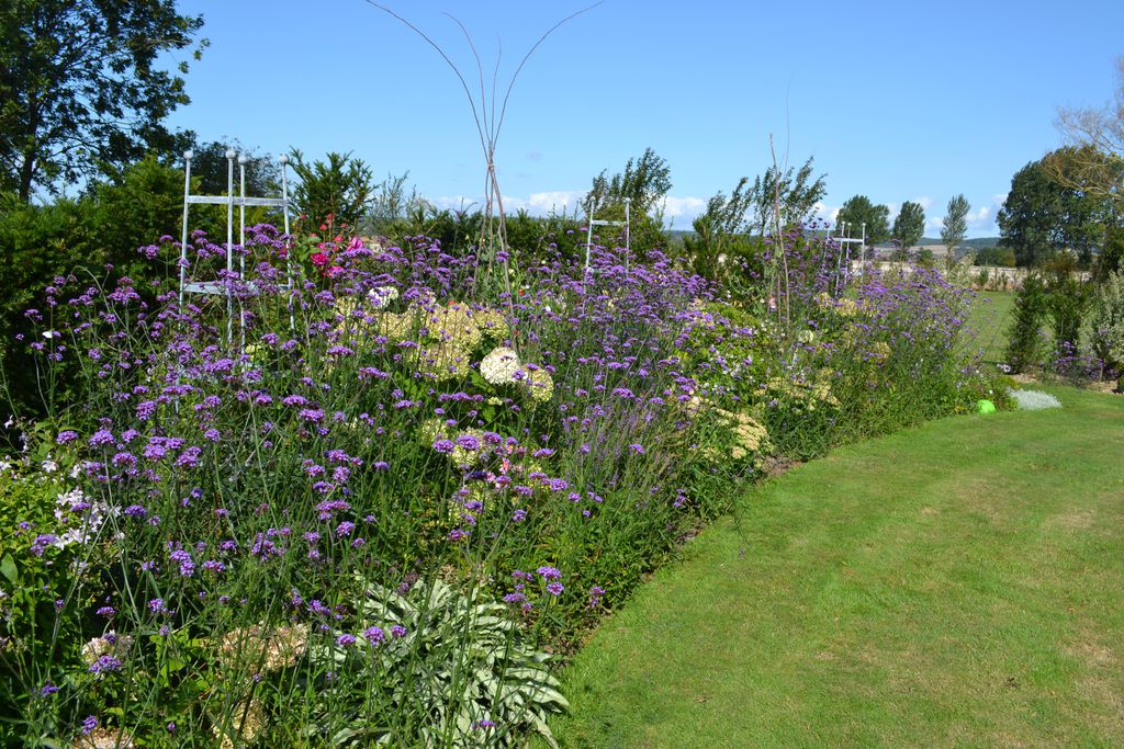 Handley Cross gallery - Gallery