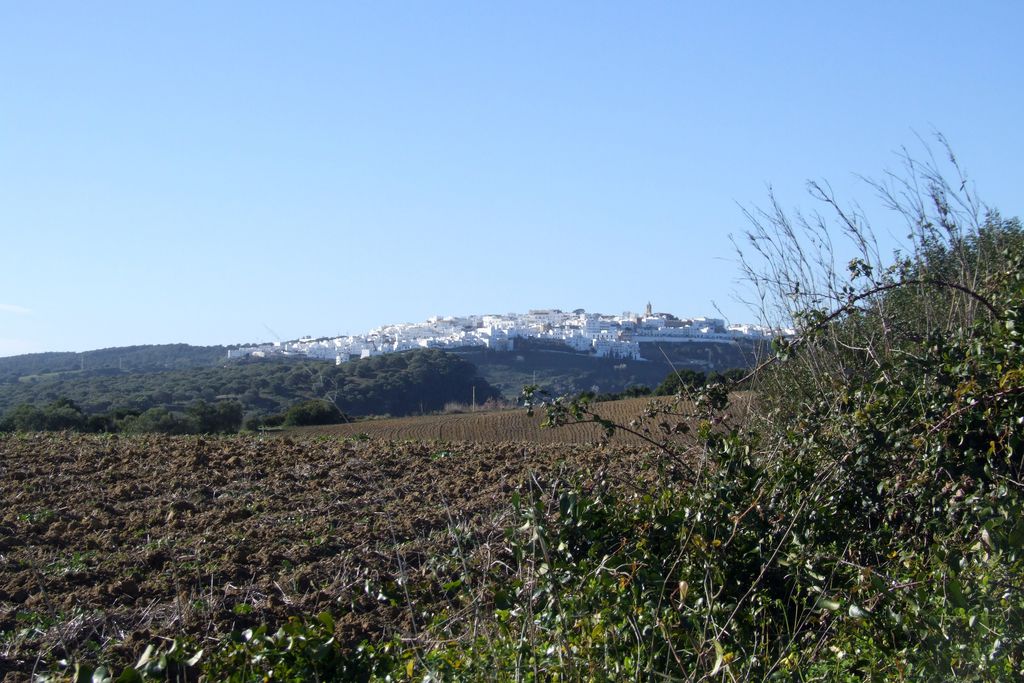 La Valdesa gallery - Gallery