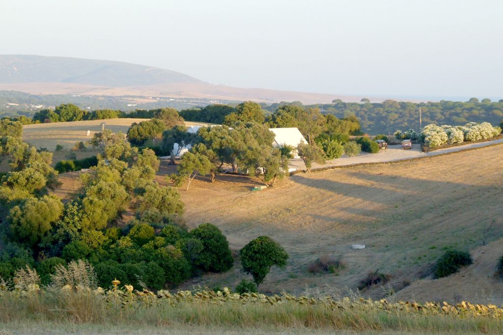 La Valdesa gallery - Gallery