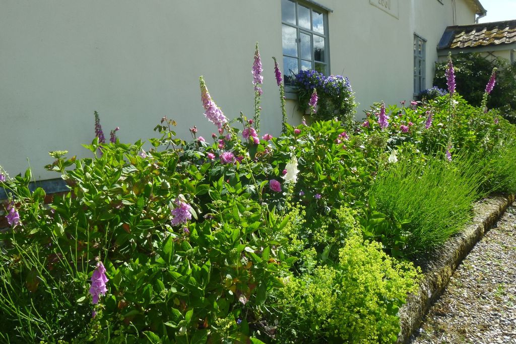 Sheep Cottages gallery - Gallery