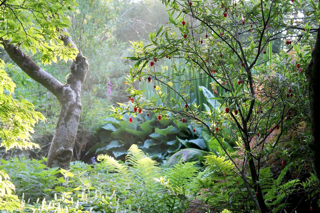 Kilmokea Country Manor & Gardens gallery - Gallery