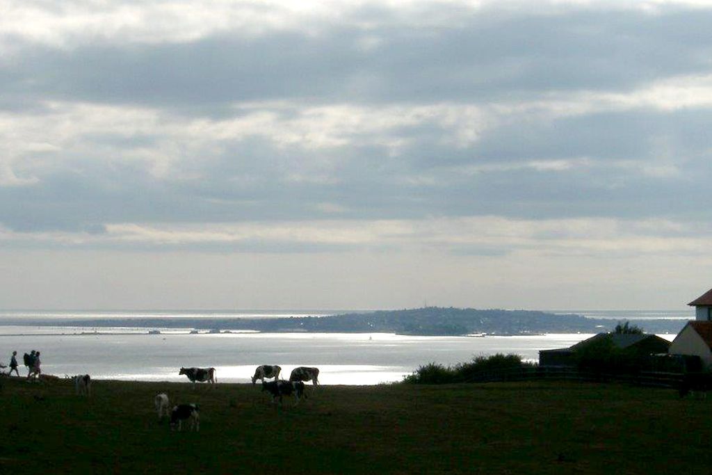 Marren gallery - Gallery