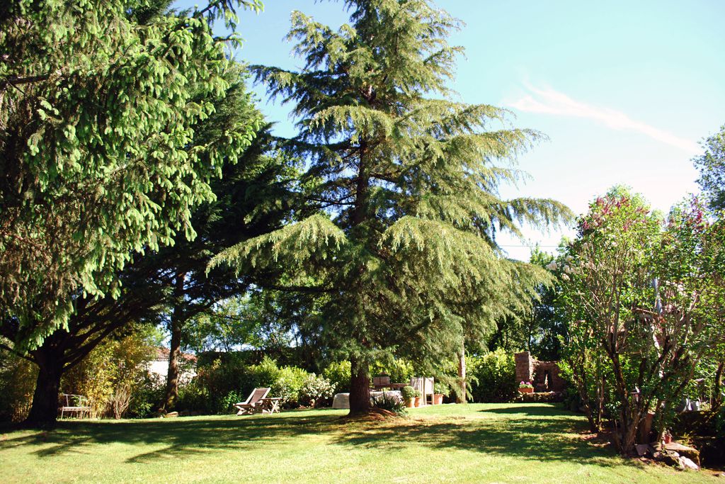 Domaine Puech Malou - The Cottage gallery - Gallery
