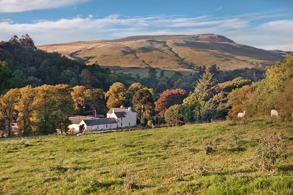 Alton Albany Farm gallery - Gallery