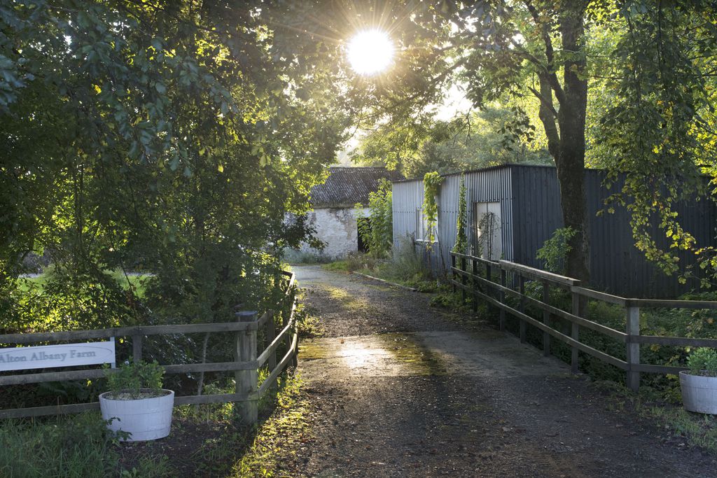 Alton Albany Farm gallery - Gallery