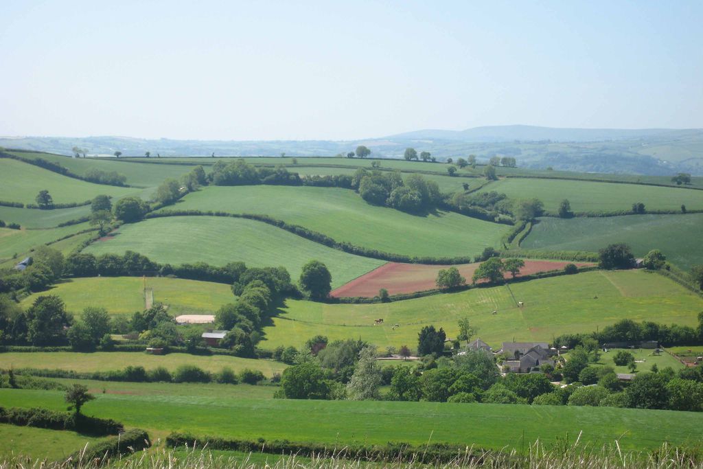 Long Barrow Windmill gallery - Gallery