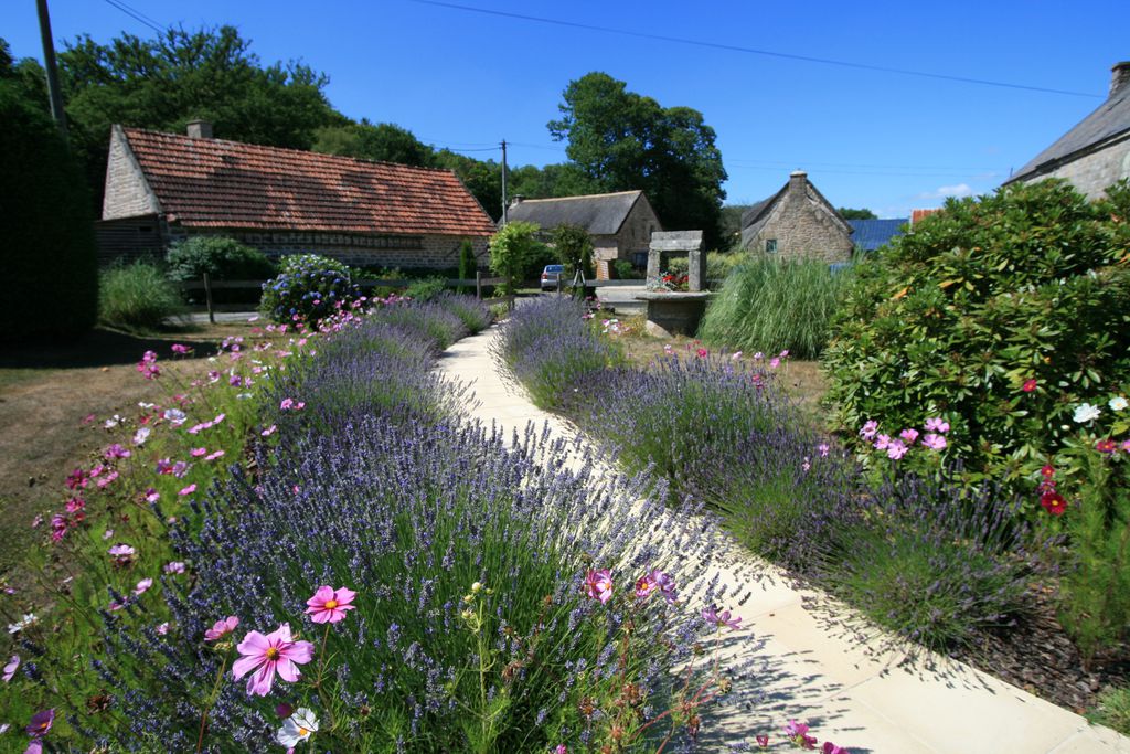 Brittany Thatched Cottages gallery - Gallery