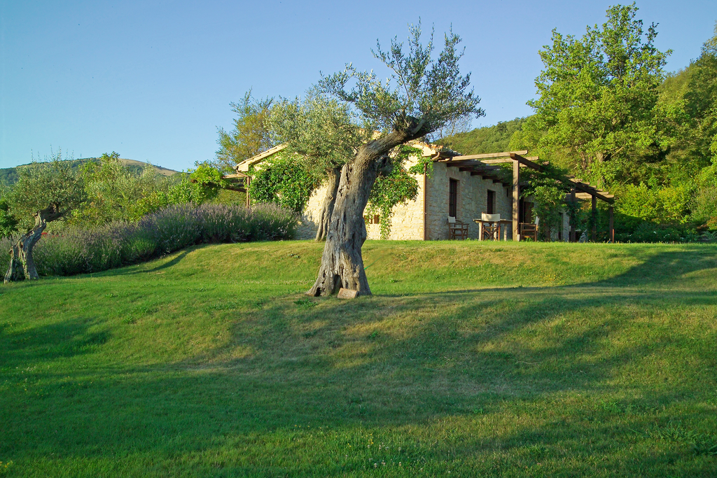 Villa Capanne gallery - Gallery